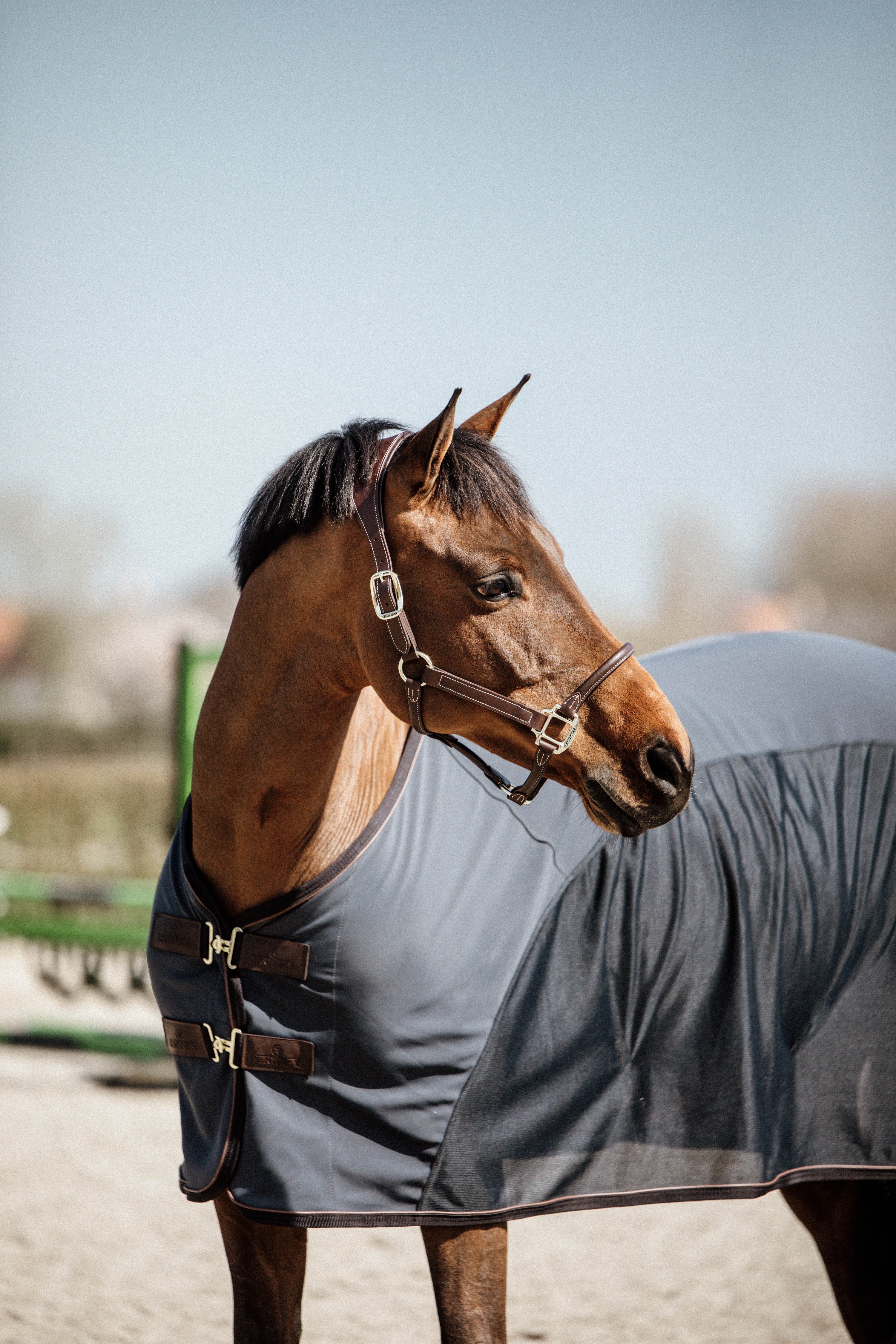 L’estate addosso… al tuo cavallo