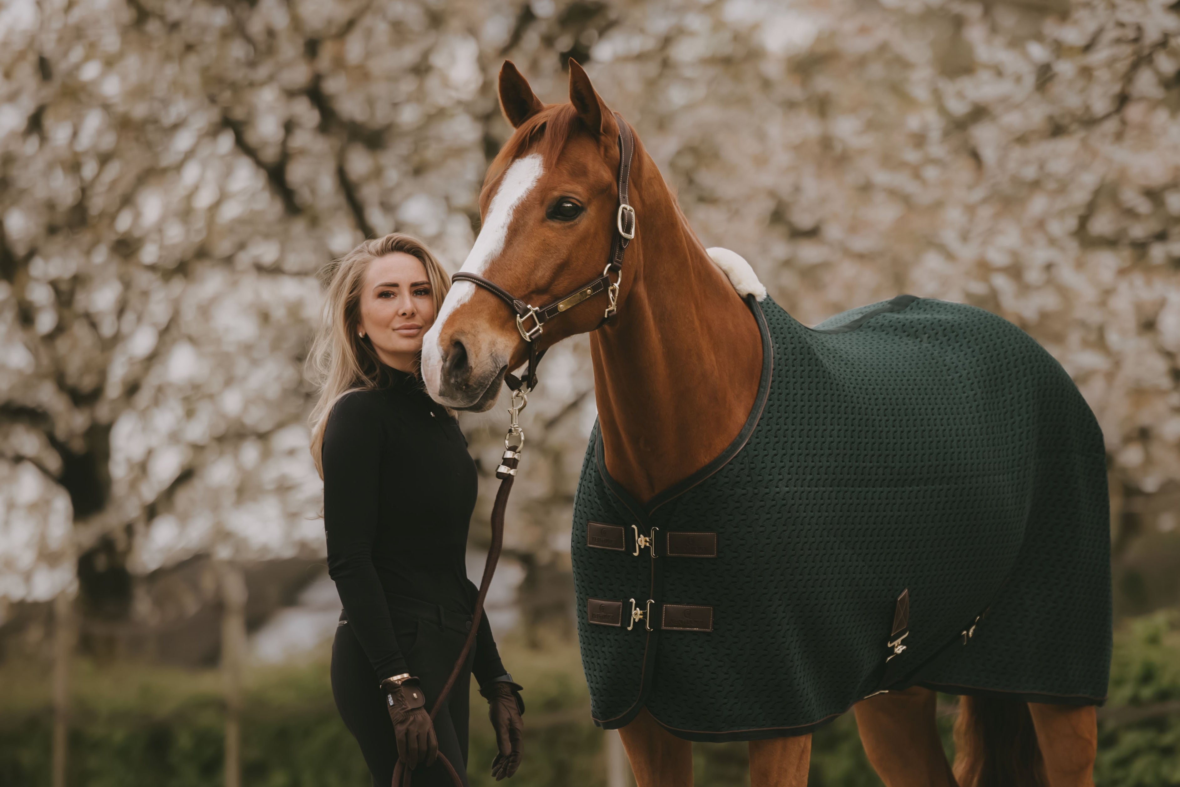 Cambio di stagione: comfort e protezione per il tuo cavallo
