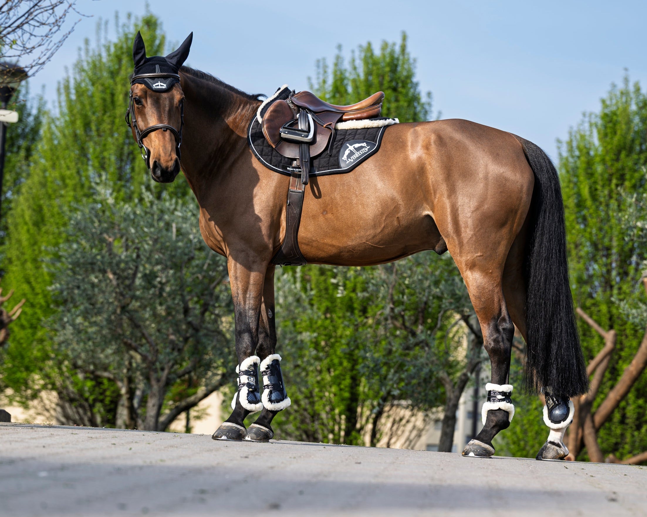 Come scegliere le giuste protezioni per gli arti del cavallo