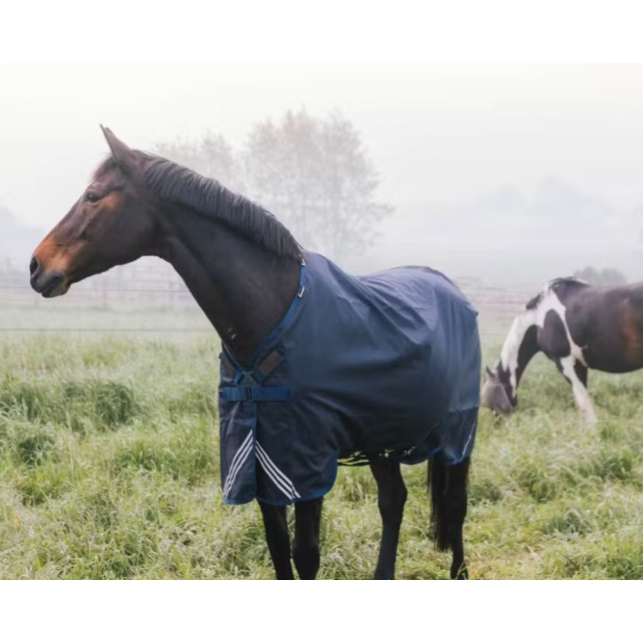 Coperta Turnout Rug All Weather Waterproof Comfort