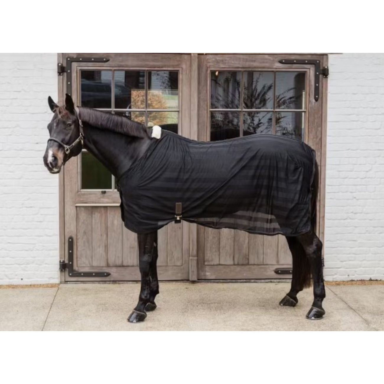 Coperta Light Mesh Fly Sheet Kentucky Nero