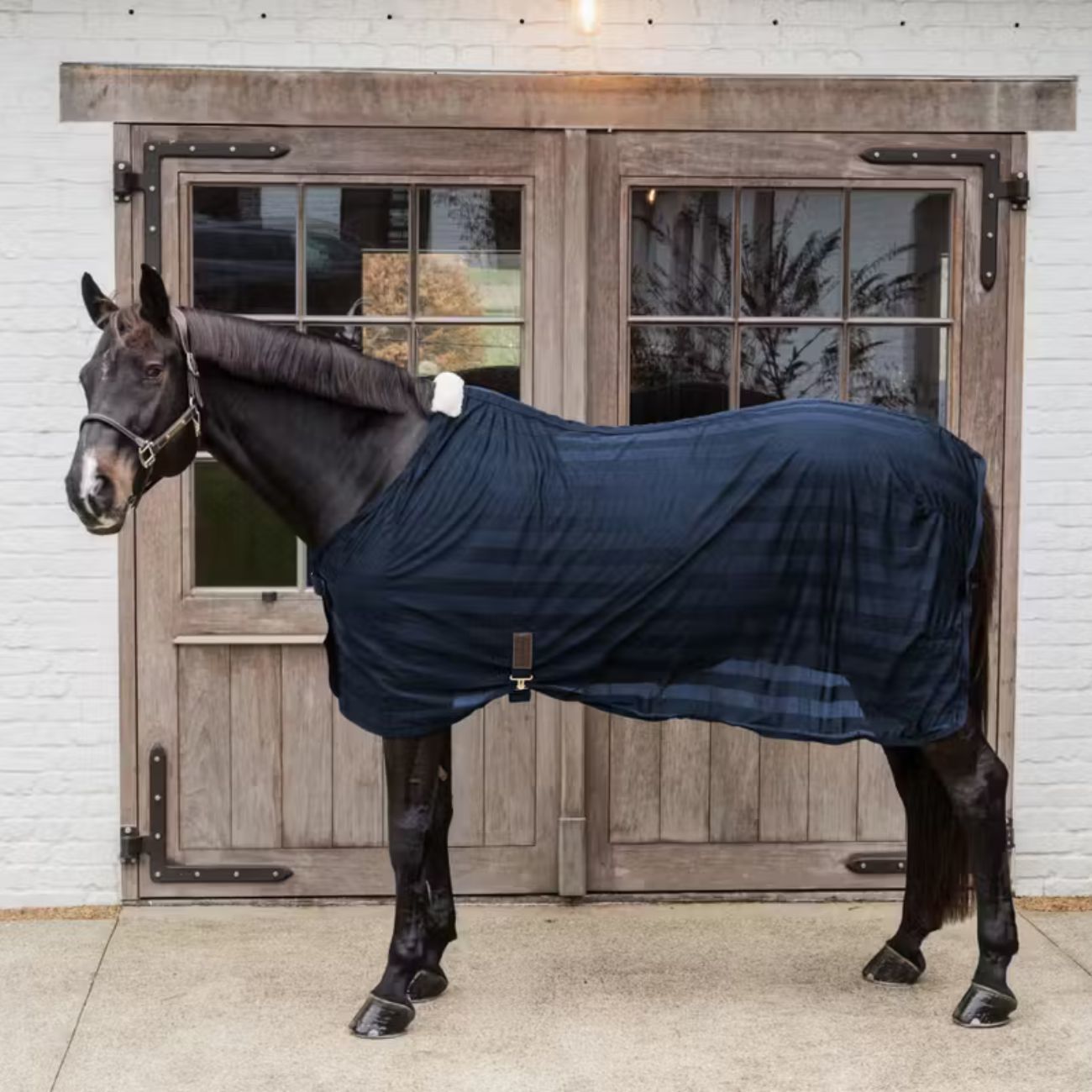 Coperta Light Mesh Fly Sheet Kentucky Blu
