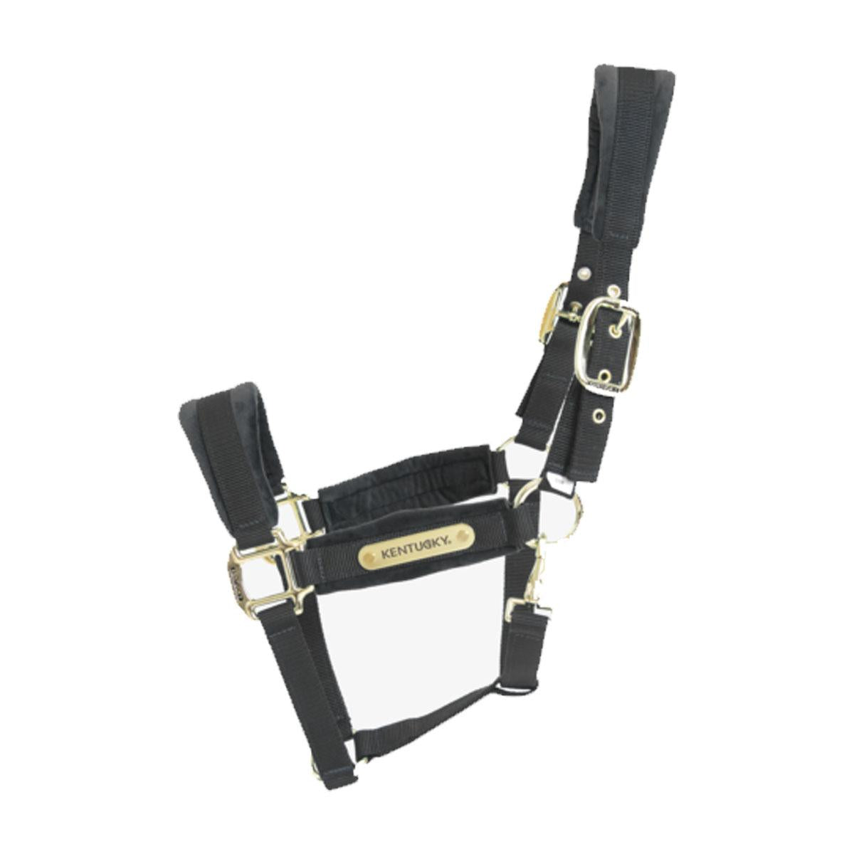 Halter in VELLUTO KENTUCKY 42558 01BLACK KENTUCKY