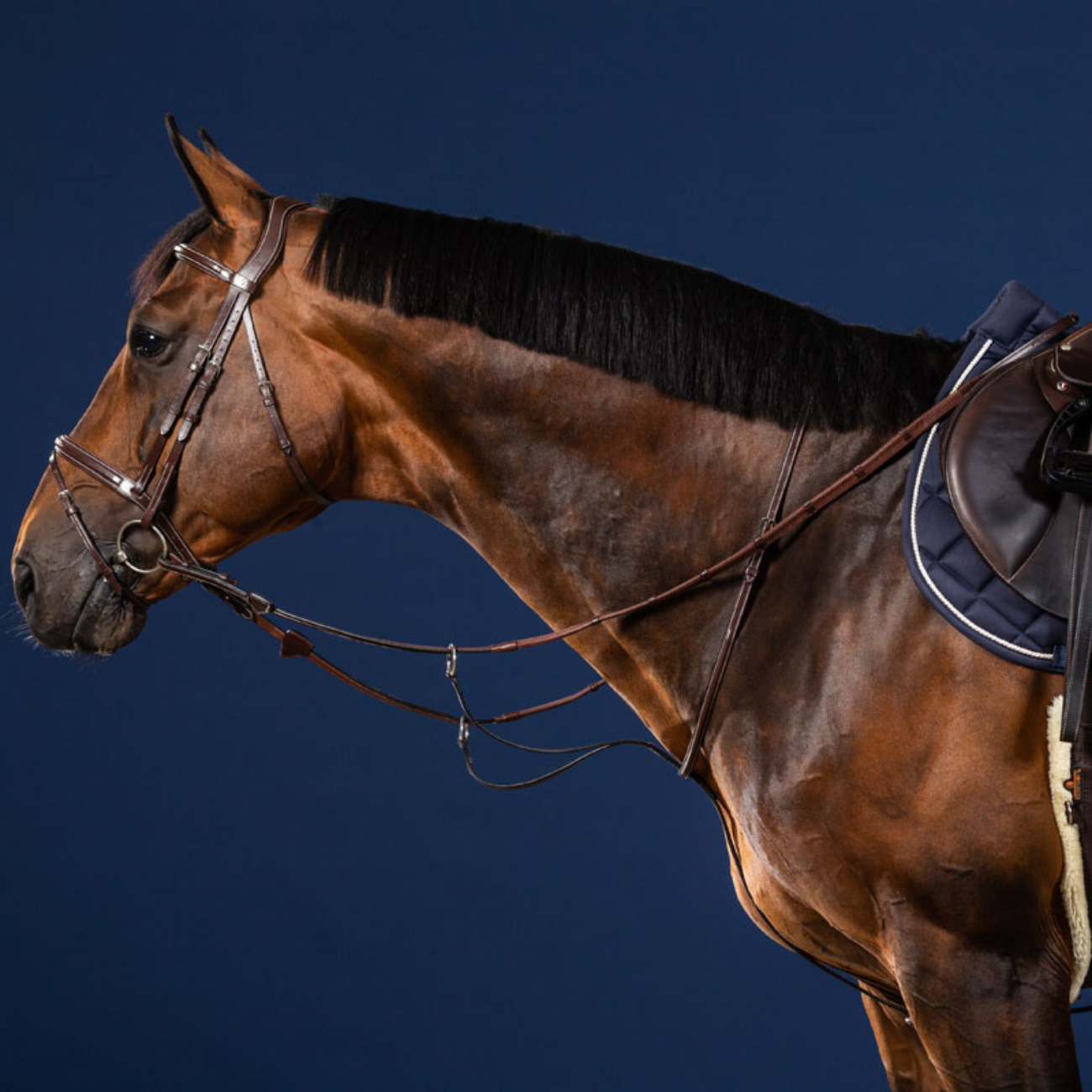 DY'ON Martingala Running Us Collection US07G BROWN DY'ON