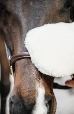 82136 01BLACK GROOMING DELUXE