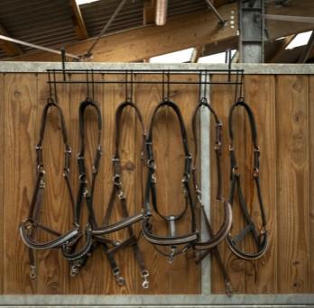 704209 002BLACK HIPPO-TONIC