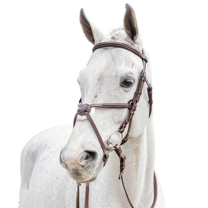 TESTIERA WINNER SPECIAL CUOIO A INCROCIO REDINI GOMMA 09SA48428 MARRONE WINNER