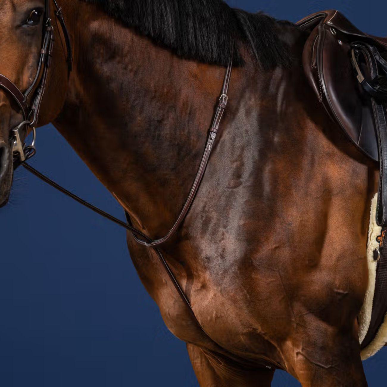 DY'ON STANDING MARTINGALE US COLLECTION DY'ON Marrone MARTINGALE E FORCHETTE US07H BROWN DY'ON