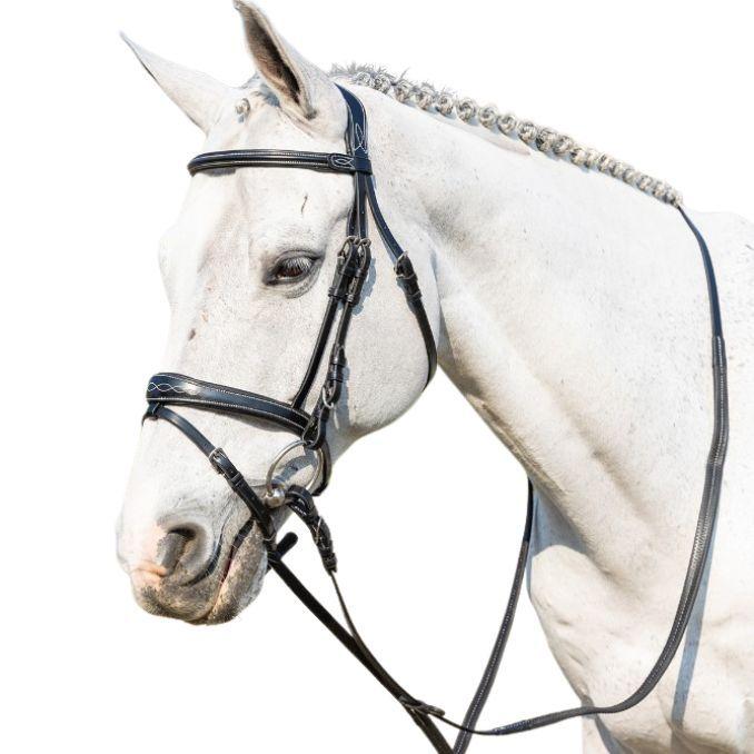 BRIGLIA WINNER IN CUOIO CON COPRIREDINI GOMMA 09SA48538 NERO WINNER