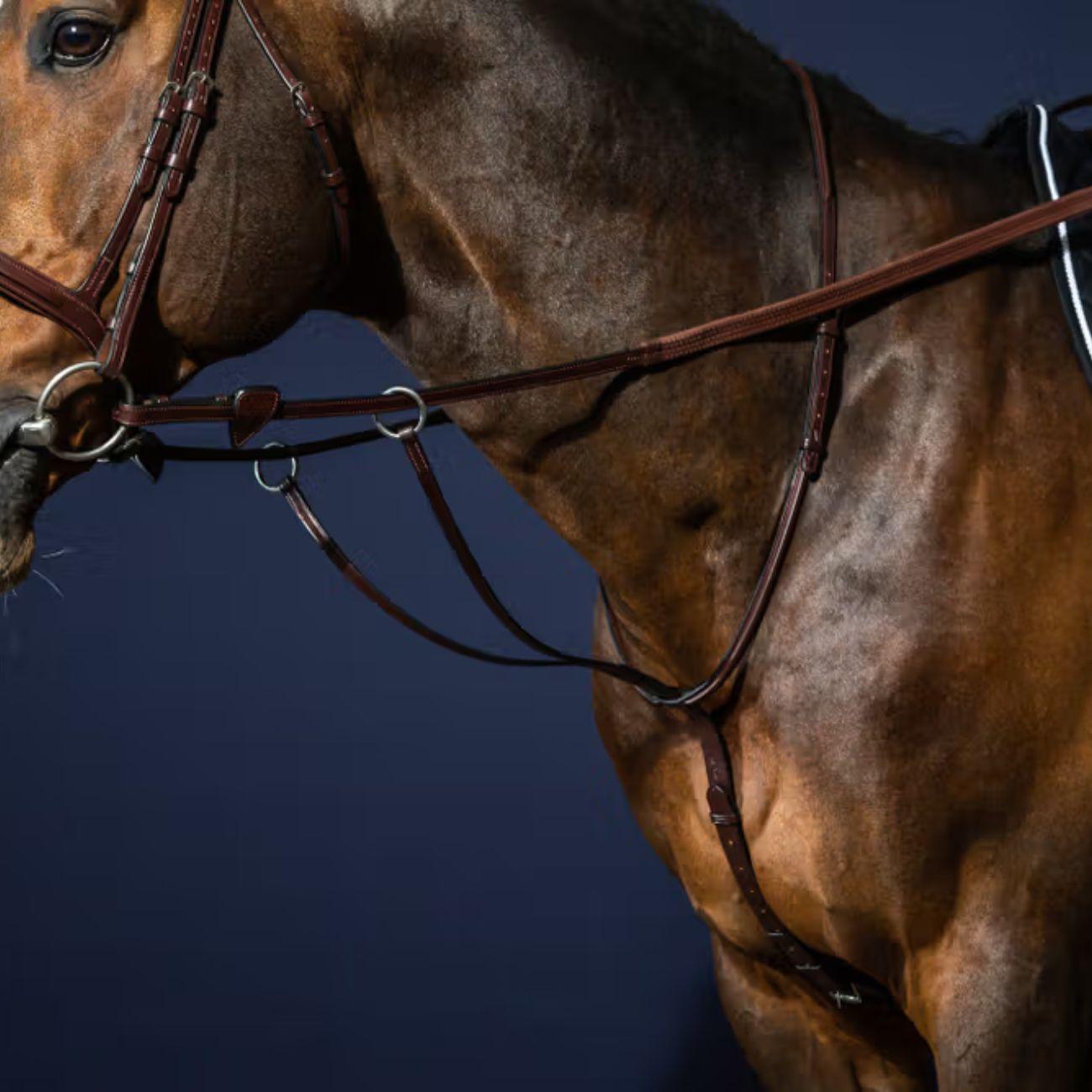 DY'ON Martingala Running New English NE07G BROWN DY'ON