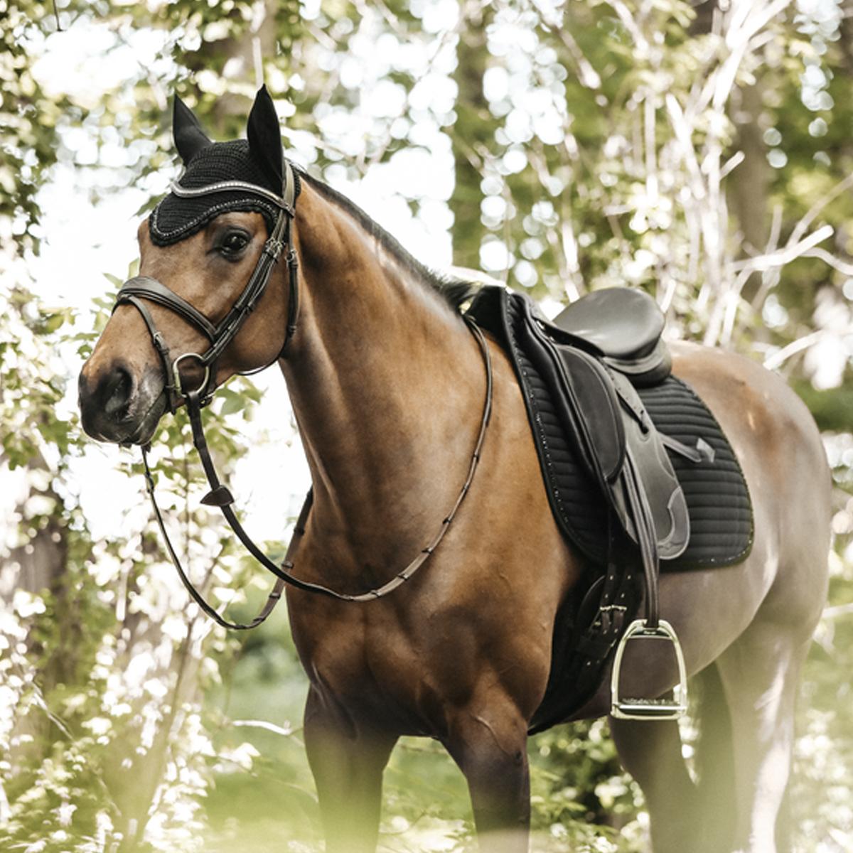 42572-DR 01BLACK KENTUCKY