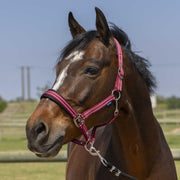 510246 033BURGUNDY NORTON