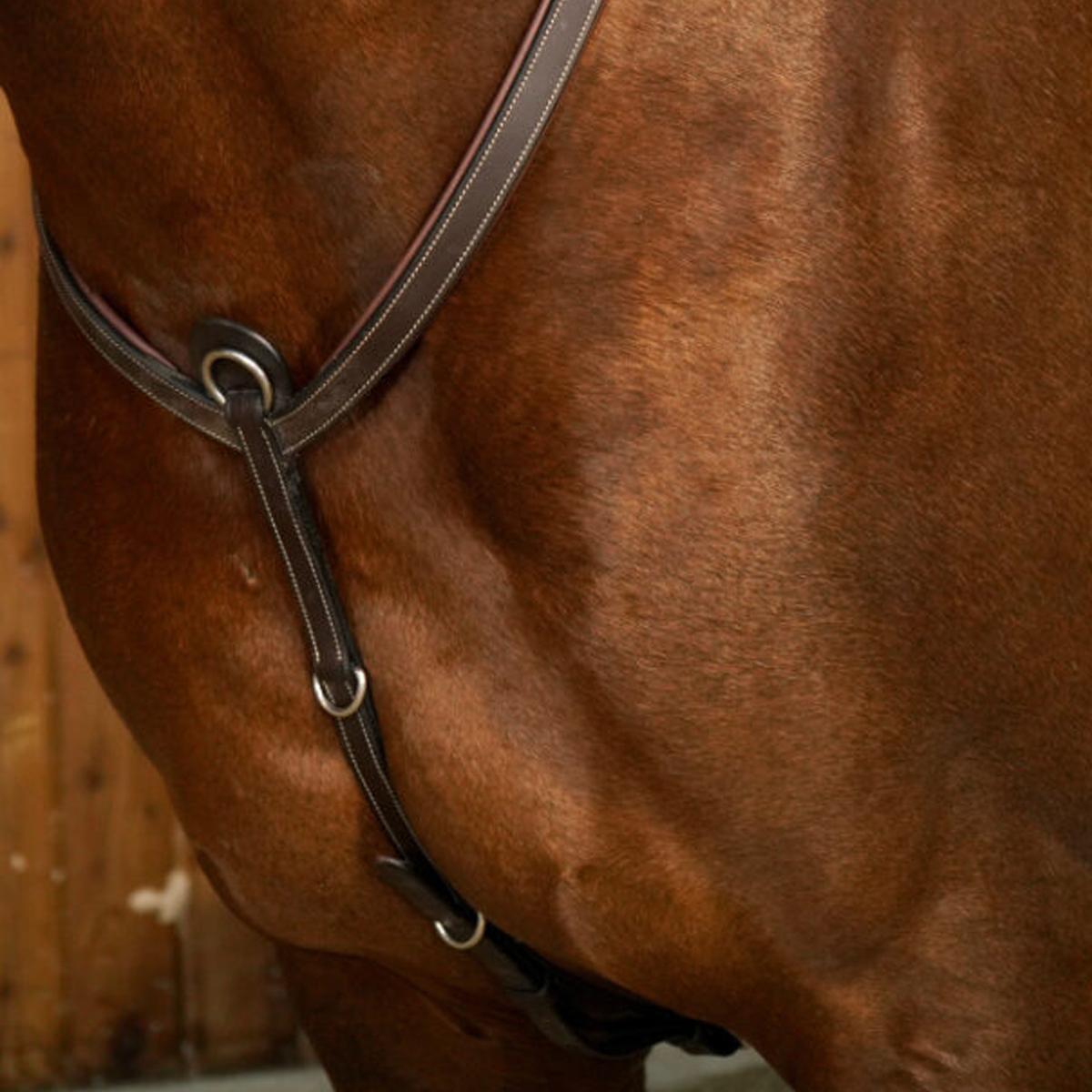 PETTORALE IN CUOIO A Y CON PONTE WORKING COLLECTION WO06D BROWN DY'ON