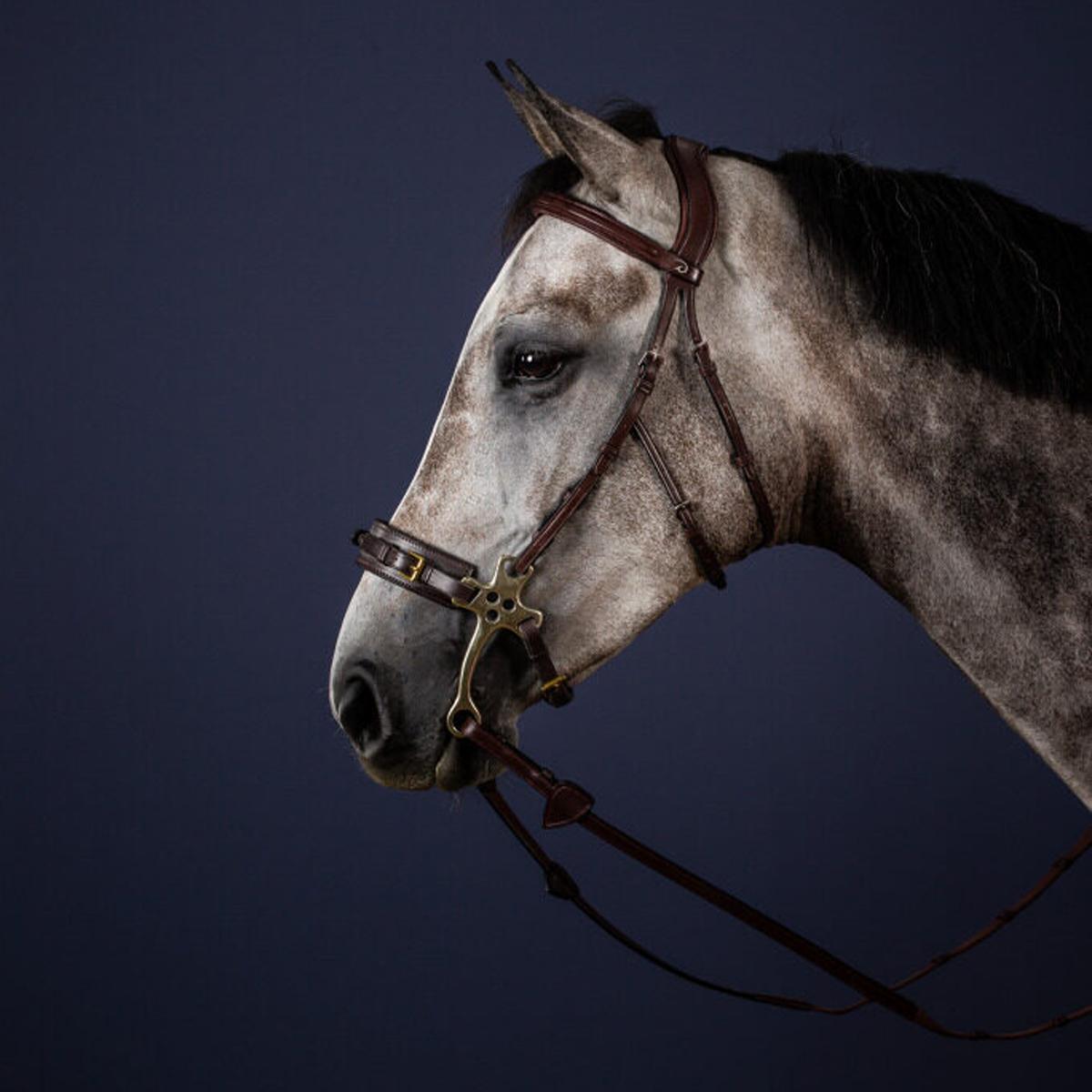 TESTIERA PER HACKAMORE TEDESCO NEW ENGLISH COLLECTION NEFADX BROWN DY'ON