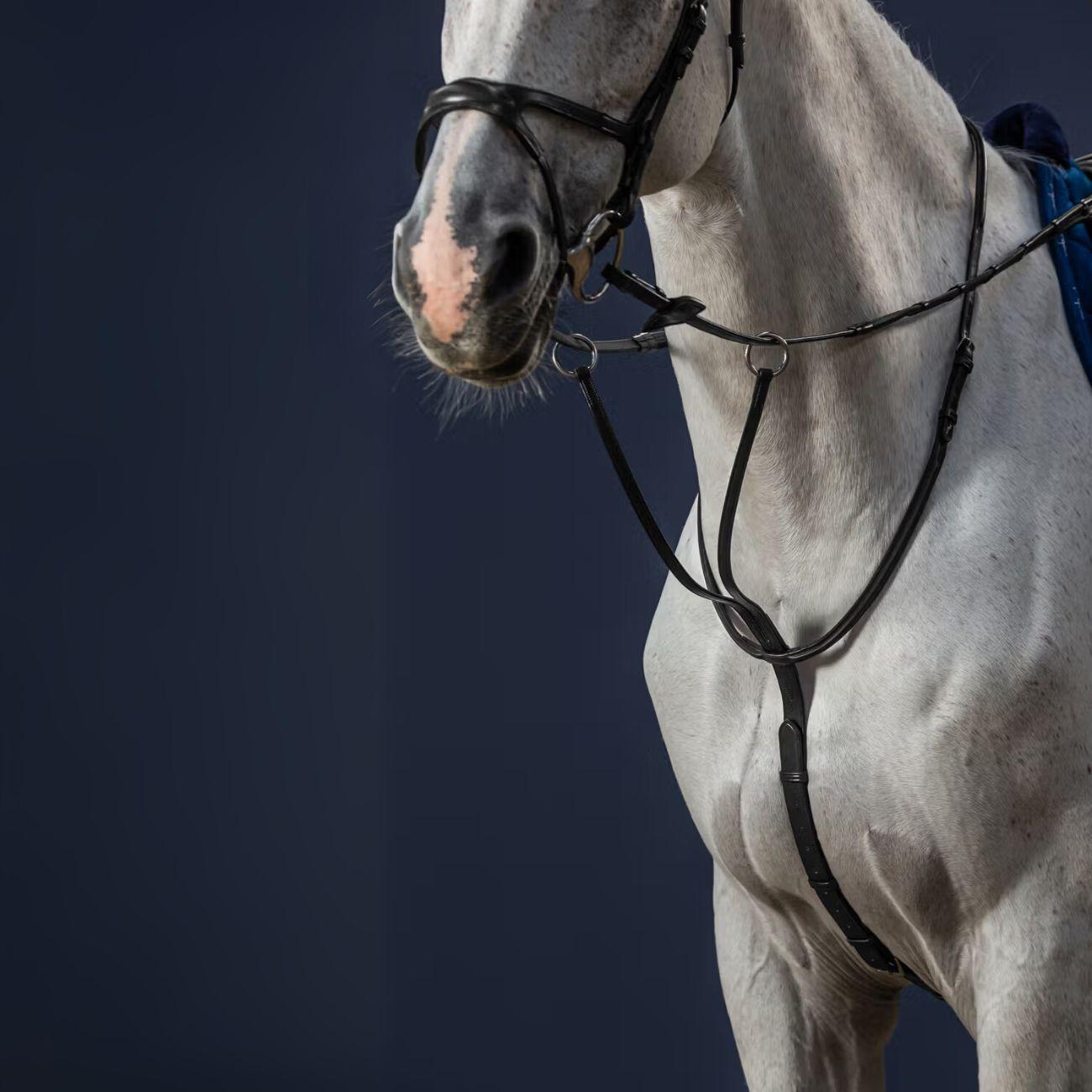 DY'ON Martingala Running New English<BR/> NE07G BLACK DY'ON