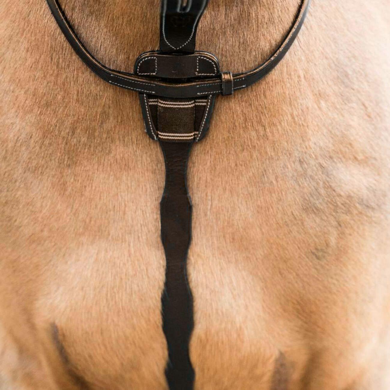 HR10650 BROWN HORSENA