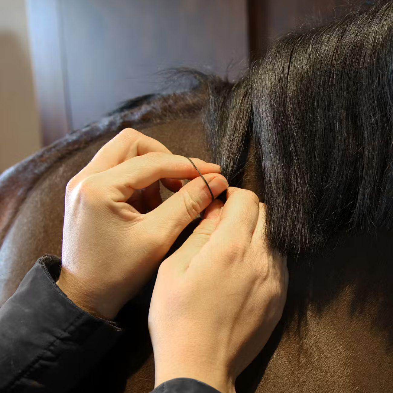 72110 01BLACK GROOMING DELUXE