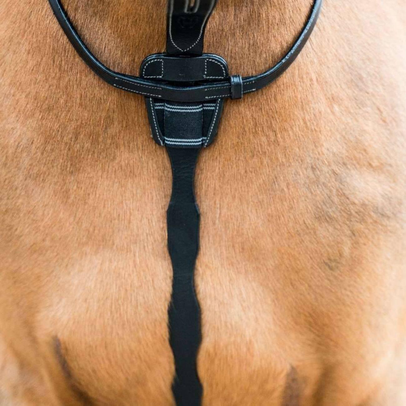 HR10650 BLACK HORSENA