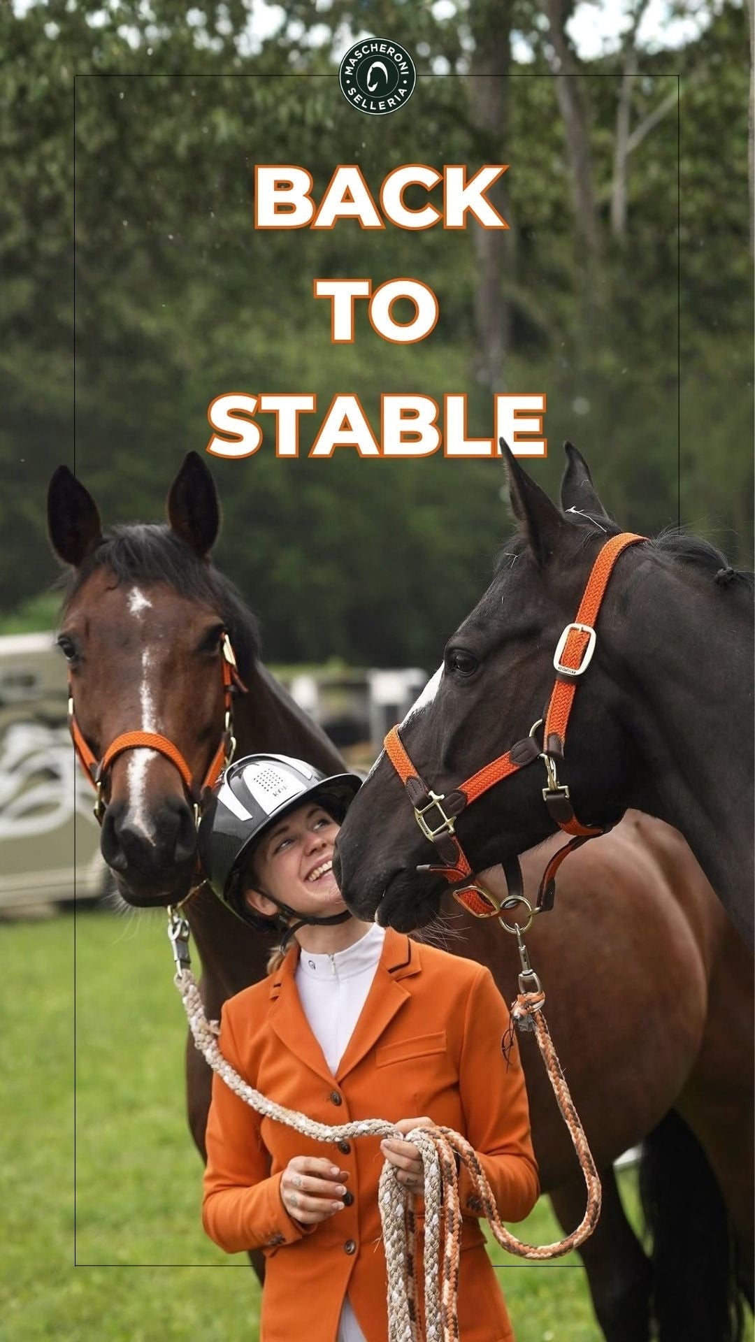 Come rimettere il cavallo in forma dopo l'estate
