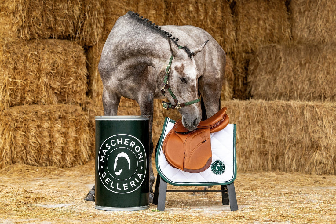 Mascheroni Selleria a Fieracavalli 2025: un’esperienza di shopping di 600 mq nel segno dell’eccellenza