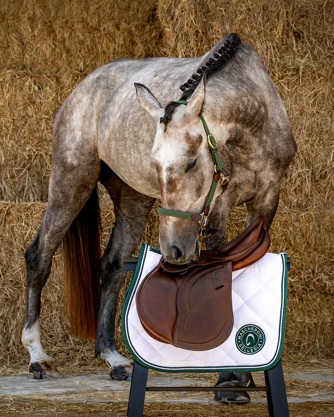 La magia del Natale: un regalo per sempre? La Sella Mascheroni!