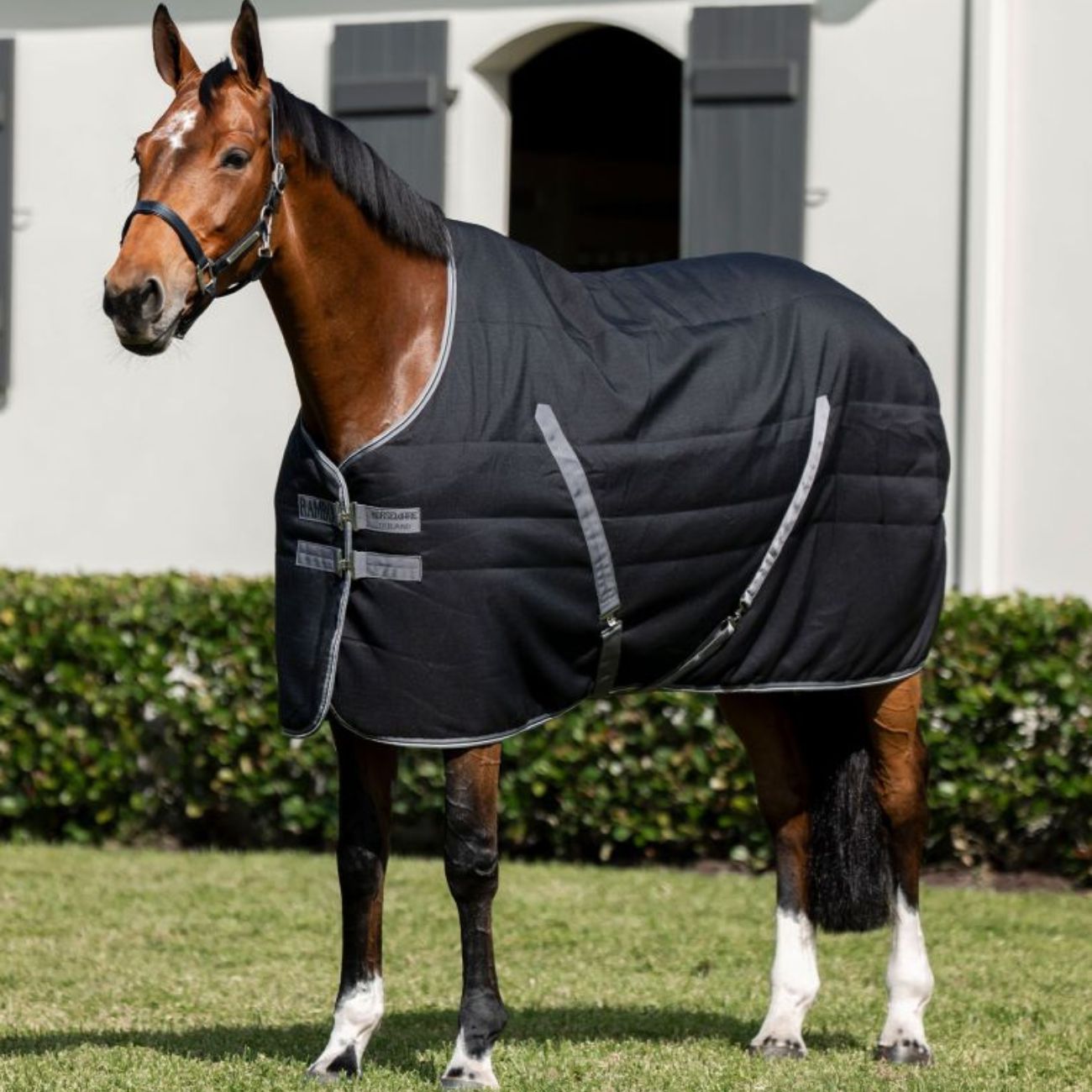 Coperta Da Box Rambo Stable Rug 100gr Nero