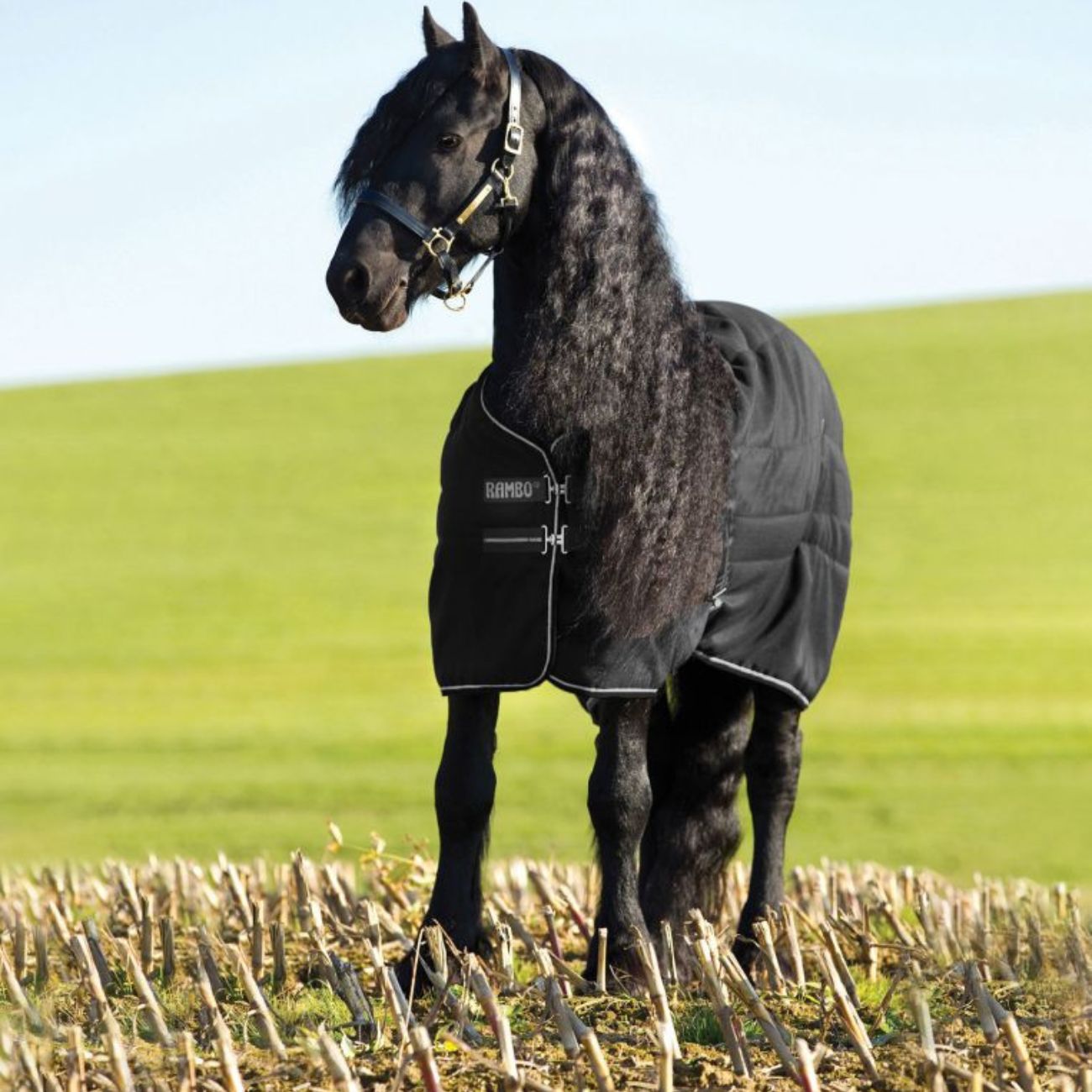 Coperta Da Box Rambo Stable Rug200gr Nero