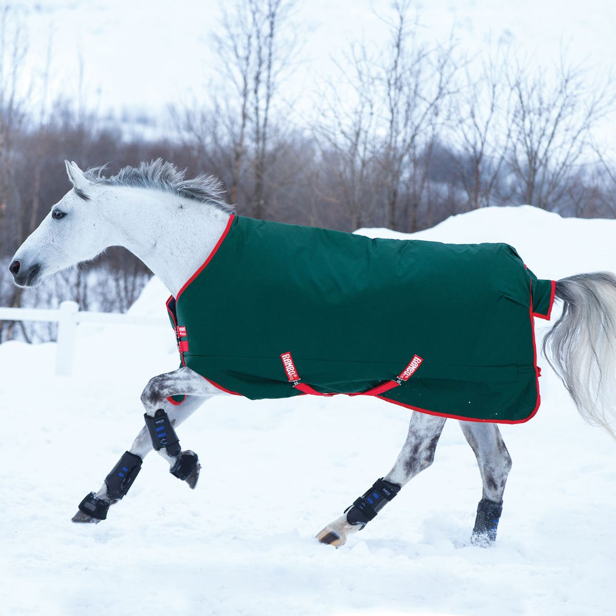 Coperta Da Paddock Rambo Original Turnout 400g