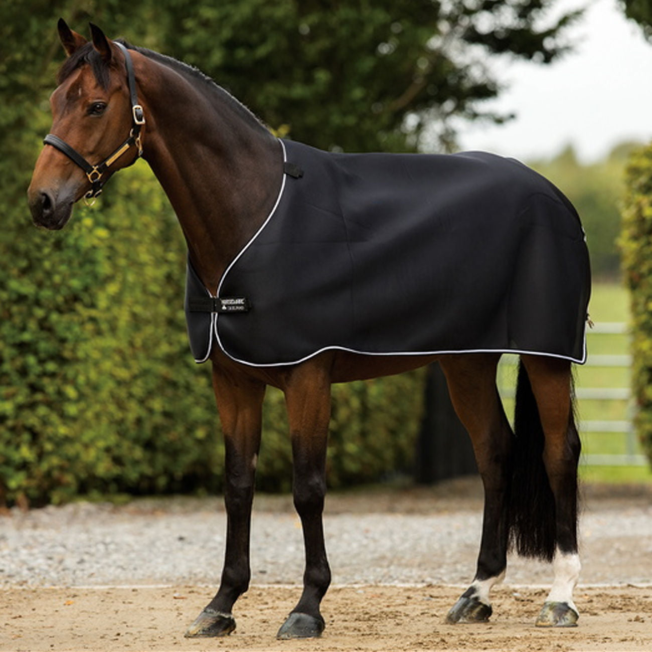 Coperta Rambo Airmax Liner Horseware