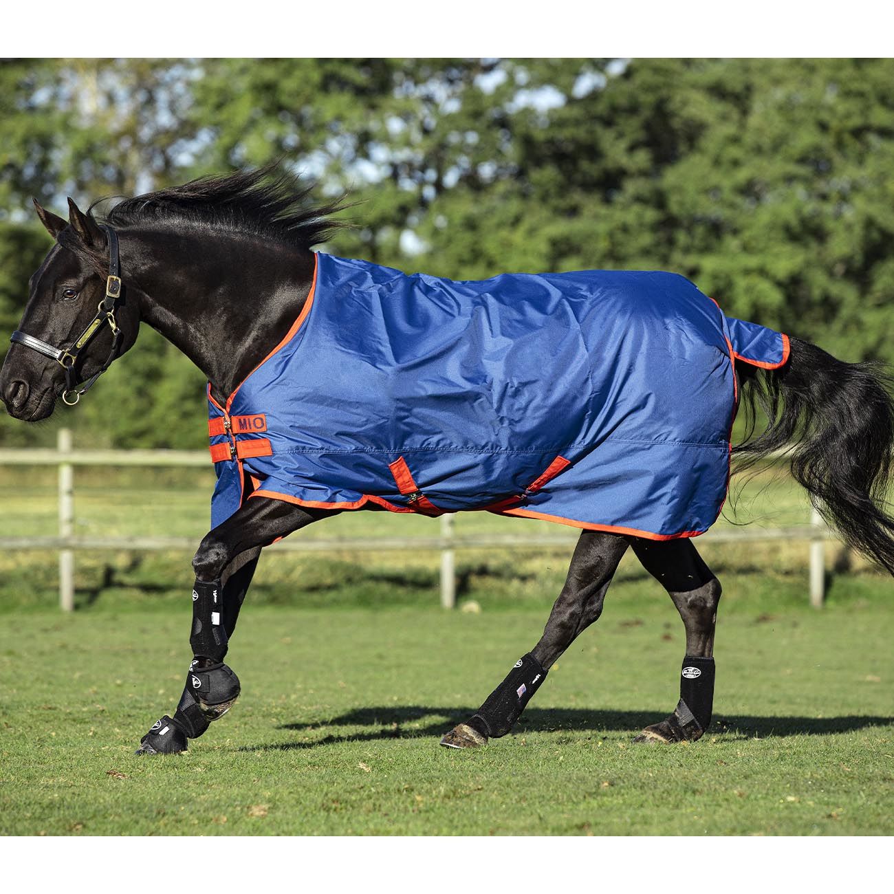 Coperta Da Paddock Mio Turnout 0gr