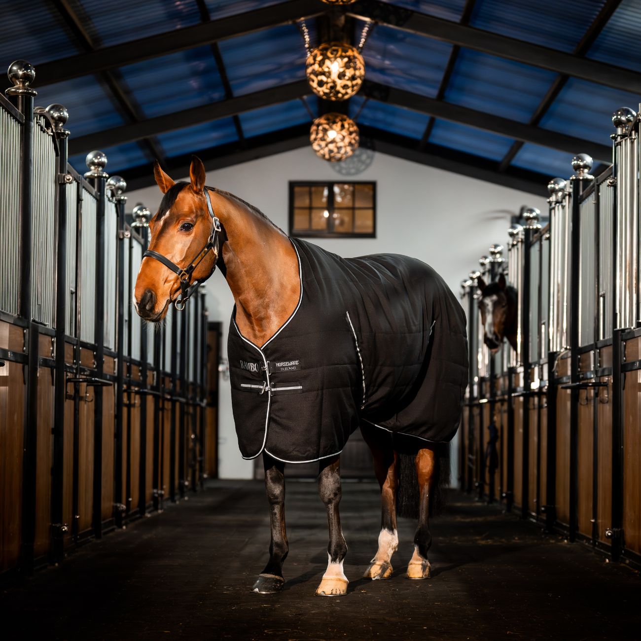 Rambo Stable Rug 100gr Black