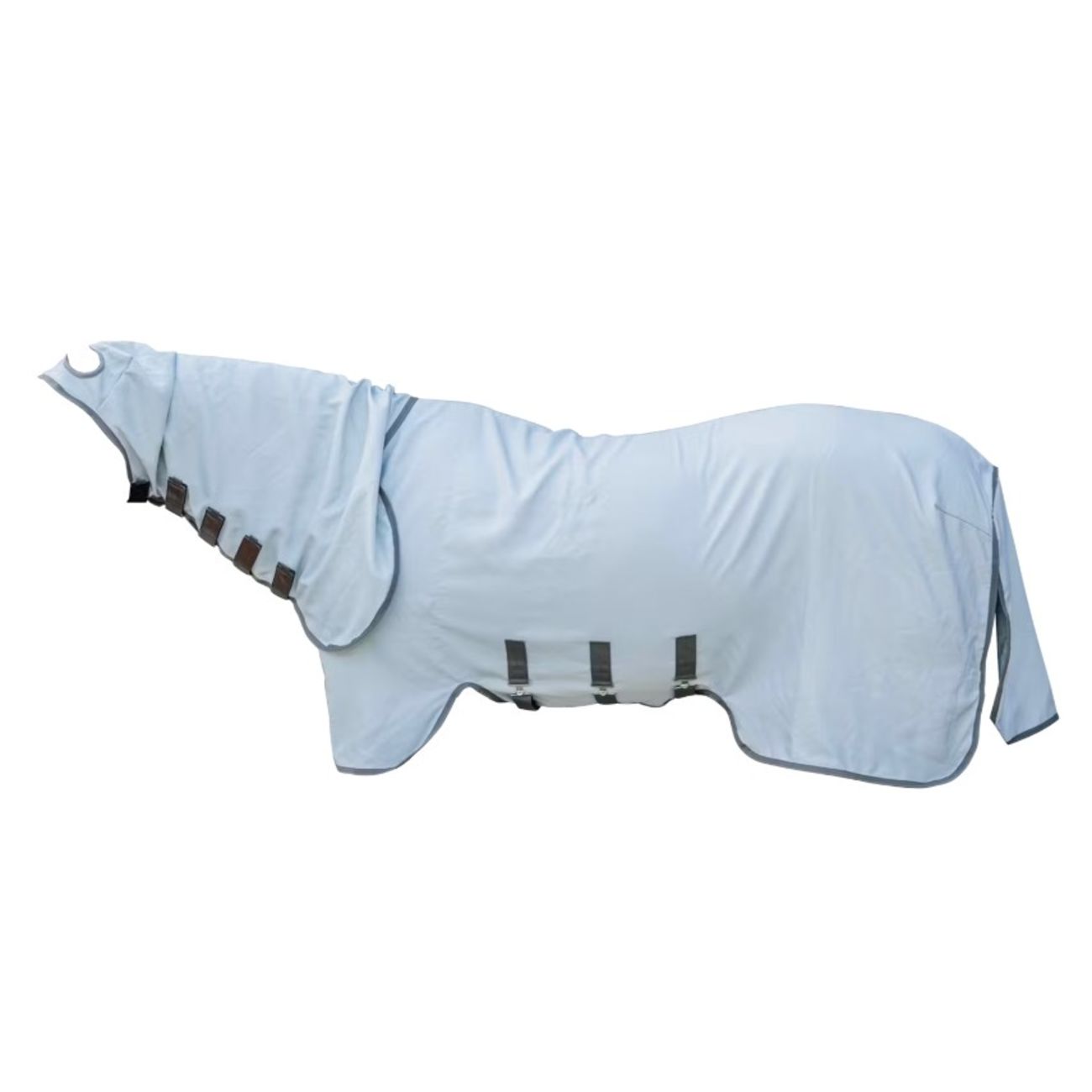 Coperta Protettiva Con Collo Eczema Rug Kentucky