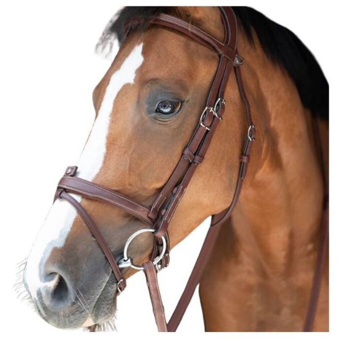 ANTARES SELLIER Antares Sellier Testiera Con Redini Combinee Antares Marrone 09ATBR2+REN1 MARRONE 