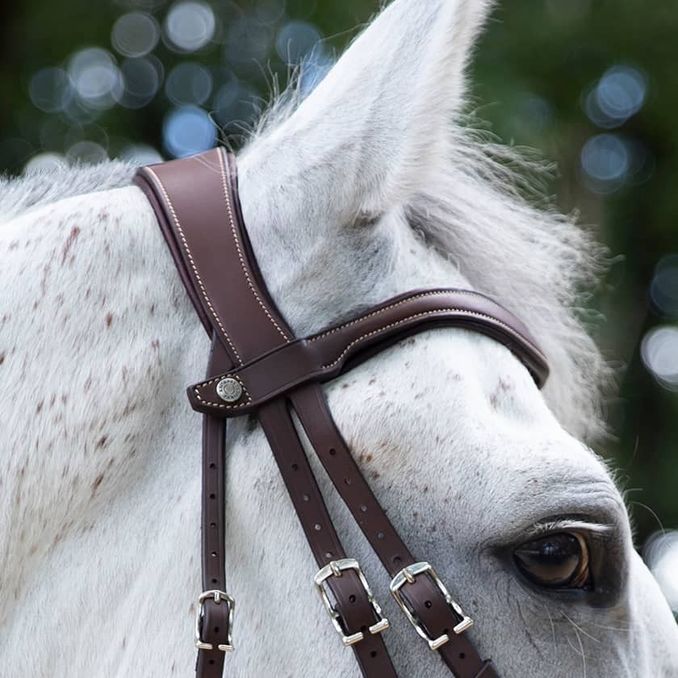 ANTARES SELLIER Antares Sellier Testiera Con Redini Combinee Antares Marrone 09ATBR2+REN1 MARRONE 