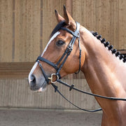 ANTARES SELLIER Antares Sellier Testiera Con Redini Combinee Antares Nero 09ATBR2+REN1 NERO 