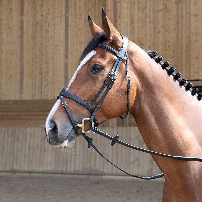 ANTARES SELLIER Antares Sellier Testiera Con Redini Combinee Antares Nero 09ATBR2+REN1 NERO 