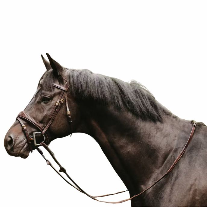 DYON DY'ON 5/8 HUNTER REINS WITH 7 LEATHER LOOPS D COLLECTION Marrone REDINI DY05G BROWN 