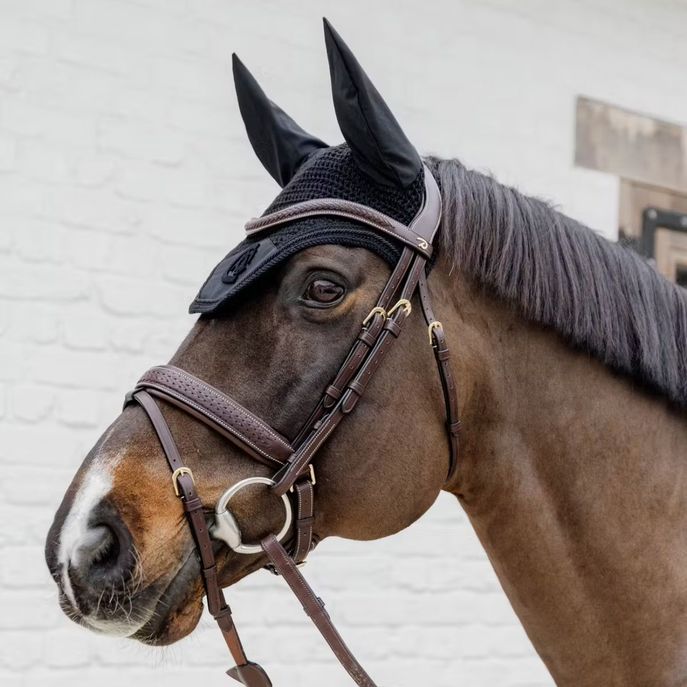 DYON DY'ON PLAITED FLASH NOSEBAND BRIDLE WITH PULL BACK D COLLECTION Marrone TESTIERE DYAJAZ BROWN 