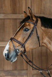 DYON DY'ON PLAITED FLASH NOSEBAND BRIDLE NEW ENGLISH Marrone TESTIERE NEAOAK BROWN 