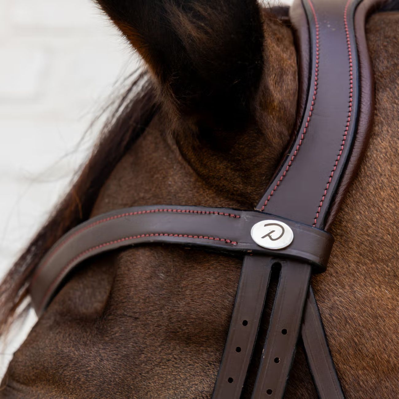 DYON Testiera Con Capezzina Flash SO Dy'on SO-10001 BROWN 