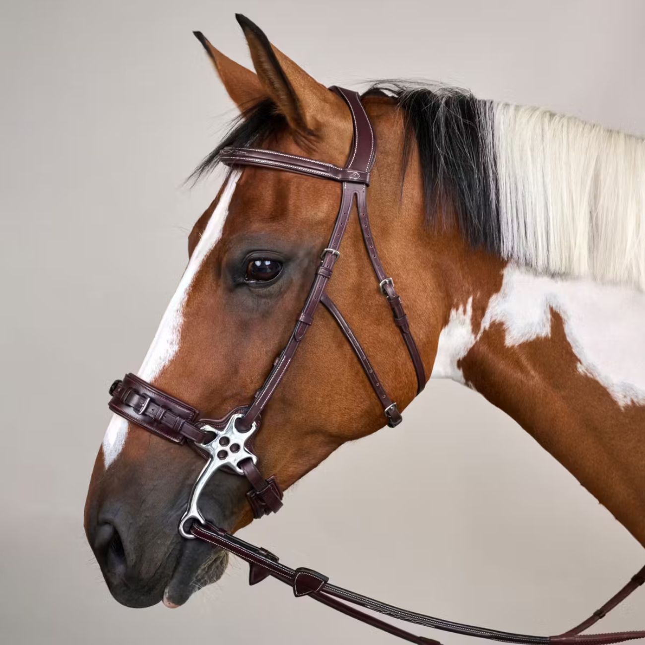 DYON Briglia Per Hackamore Us  Collection Dy'on USFADX BROWN 