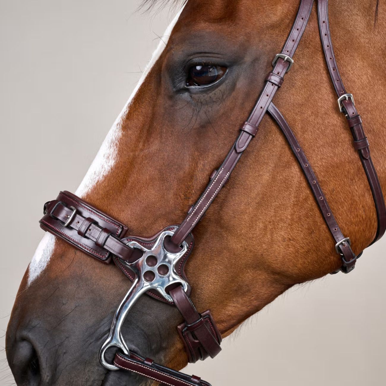 DYON Briglia Per Hackamore Us  Collection Dy'on USFADX BROWN 