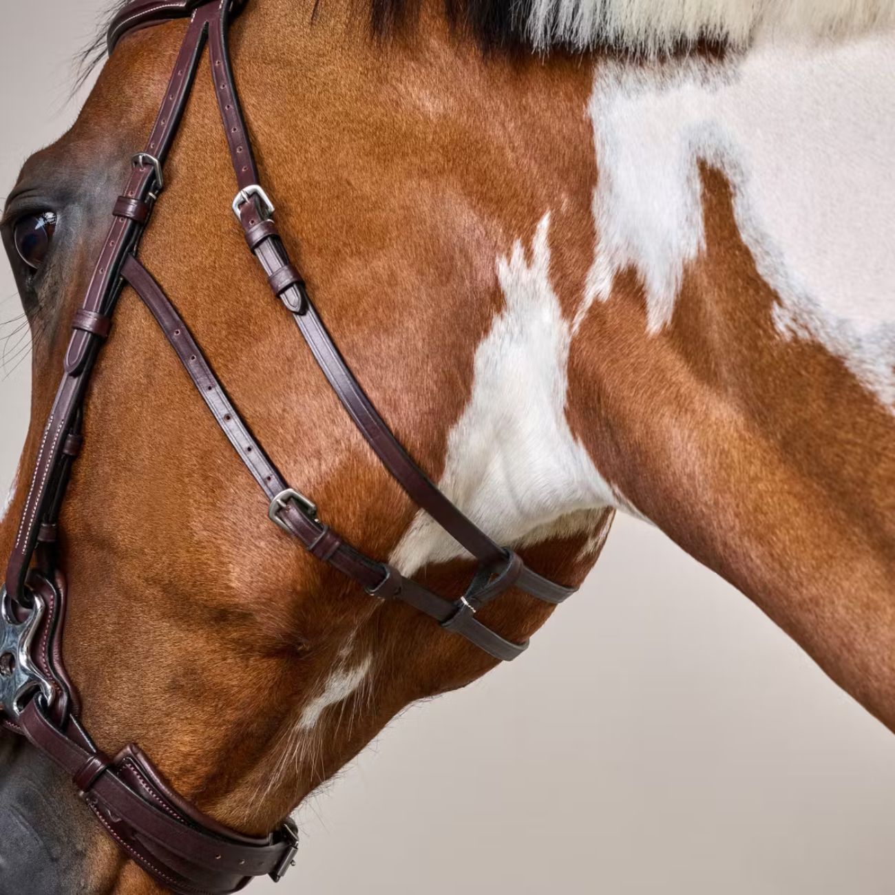 DYON Briglia Per Hackamore Us  Collection Dy'on USFADX BROWN 