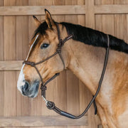 DYON DY'ON TRAINING HALTER DY'ON Marrone CAPEZZINI E CAPEZZE WO09C BROWN 