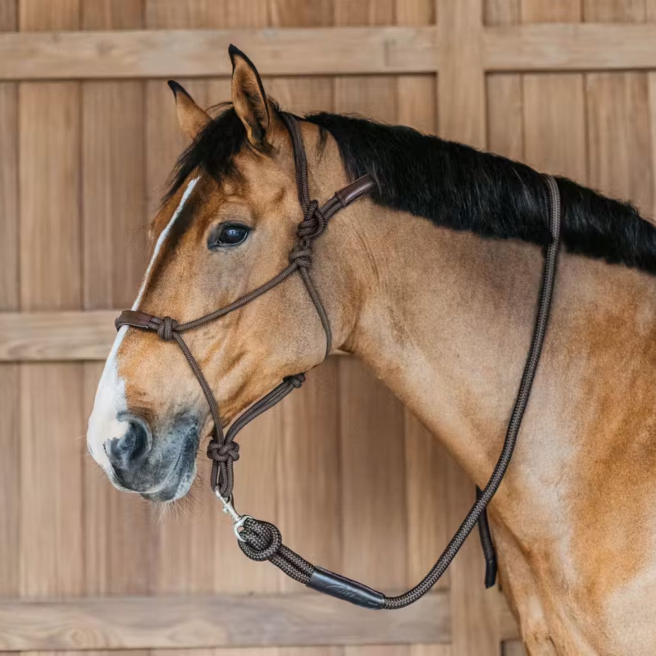 DYON DY'ON TRAINING HALTER DY'ON Marrone CAPEZZINI E CAPEZZE WO09C BROWN 