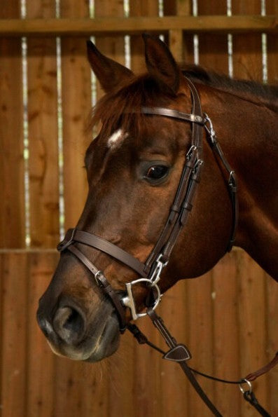 DYON DY'ON FLAT LEATHER BRIDLE WITH SNAP HOOKS WORKING BY D'YON Marrone BRIGLIE WOJOGJ BROWN 