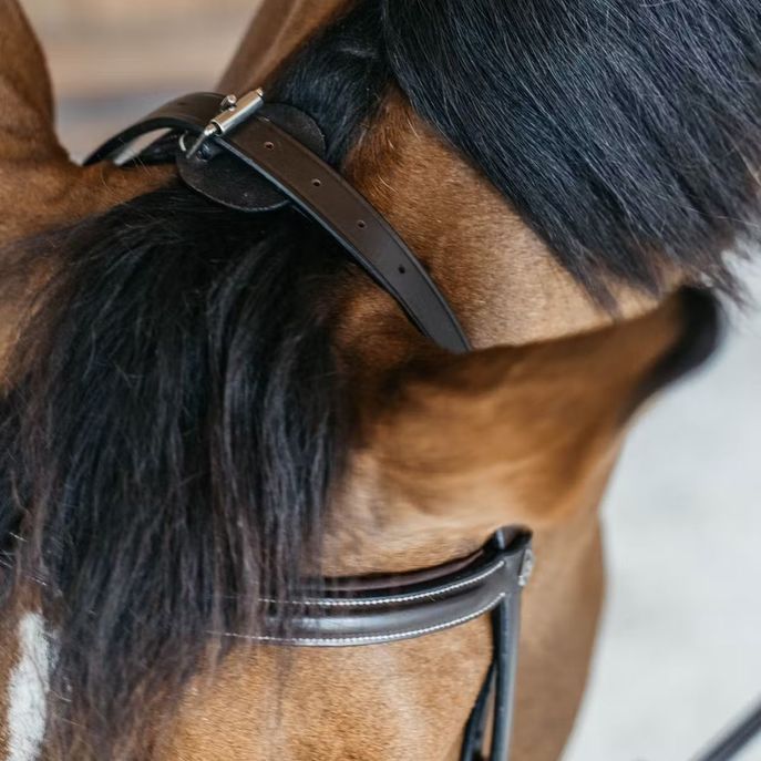 DYON DY'ON TRAINING BRIDLE WBD DY'ON Marrone TESTIERE WOXXII BROWN 