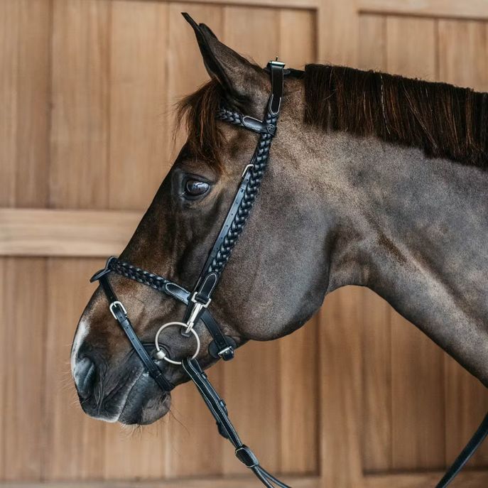 DYON DY'ON PLAITED TRAINIG BRIDLE WORKING BY DYON Nero TESTIERE WOXXJG BLACK 