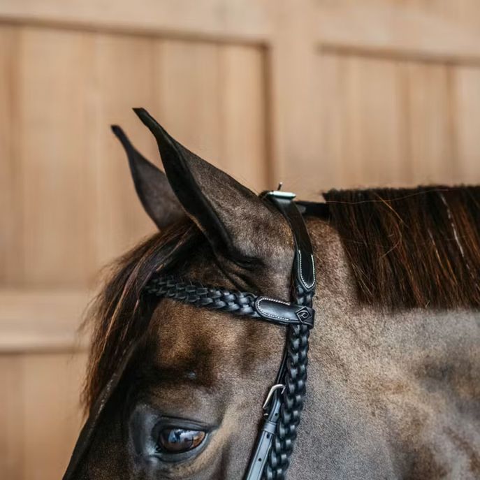 DYON DY'ON PLAITED TRAINIG BRIDLE WORKING BY DYON Nero TESTIERE WOXXJG BLACK 