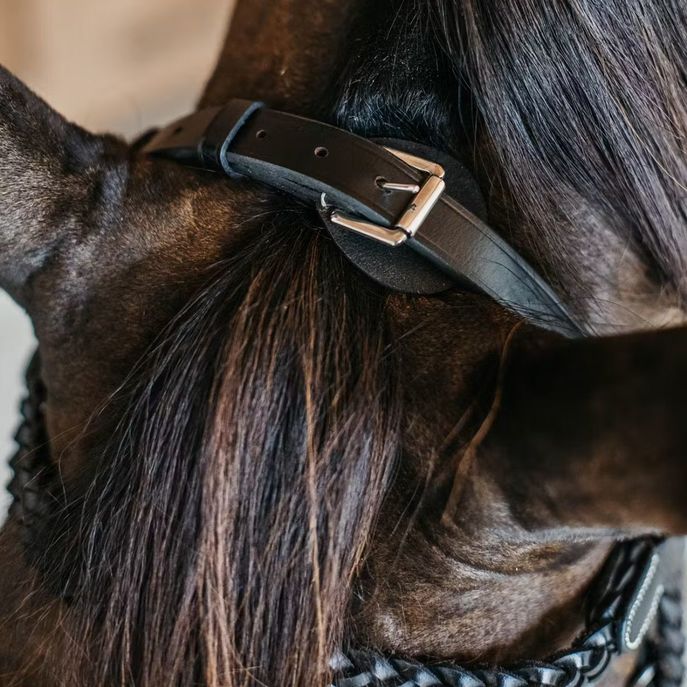 DYON DY'ON PLAITED TRAINIG BRIDLE WORKING BY DYON Nero TESTIERE WOXXJG BLACK 